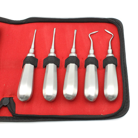 10PCS Dental Curved Root Elevator Set - Stainless Steel Tooth Extraction Surgical Tools