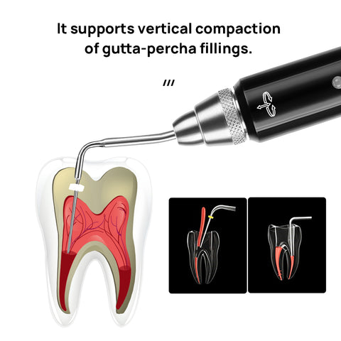 Dental Cordless Gutta Percha Obturation System - 3 Second Rapid Heating Endo Pen with 2 Tips