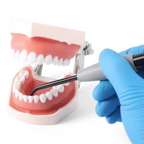 Dental Dual-UV Smart Flashlight | Caries Detection 395nm UV + 6000K White LED
